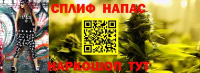 МДПВ Татарск