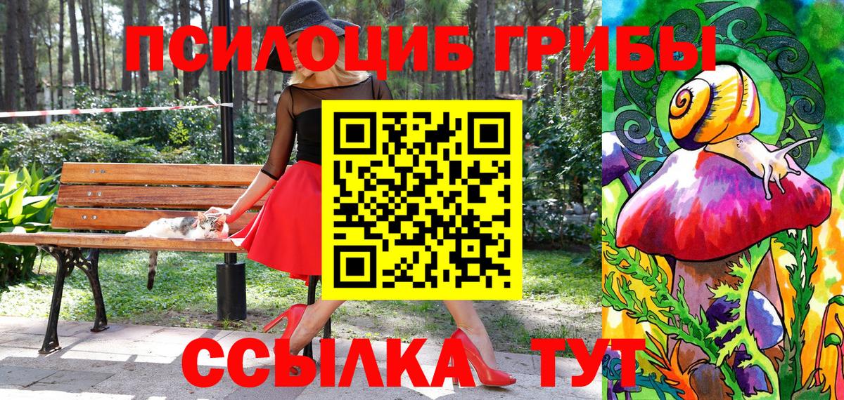Ангарск  Псилоцибиновые грибы GOLDEN TEACHER  Вход с VPN 
