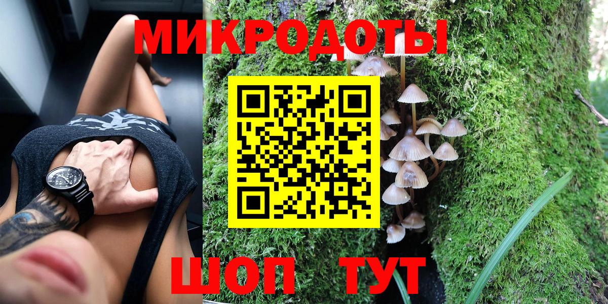 Галлюциногенные грибы Psilocybe Ангарск